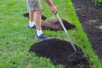 Burrow Treatment Sealing Groundhog