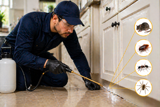 Inspection Targeted Treatment