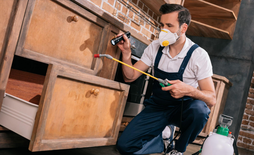 One Time Seasonal Pest Control Services