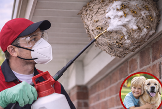 Wasp Safe Treatment